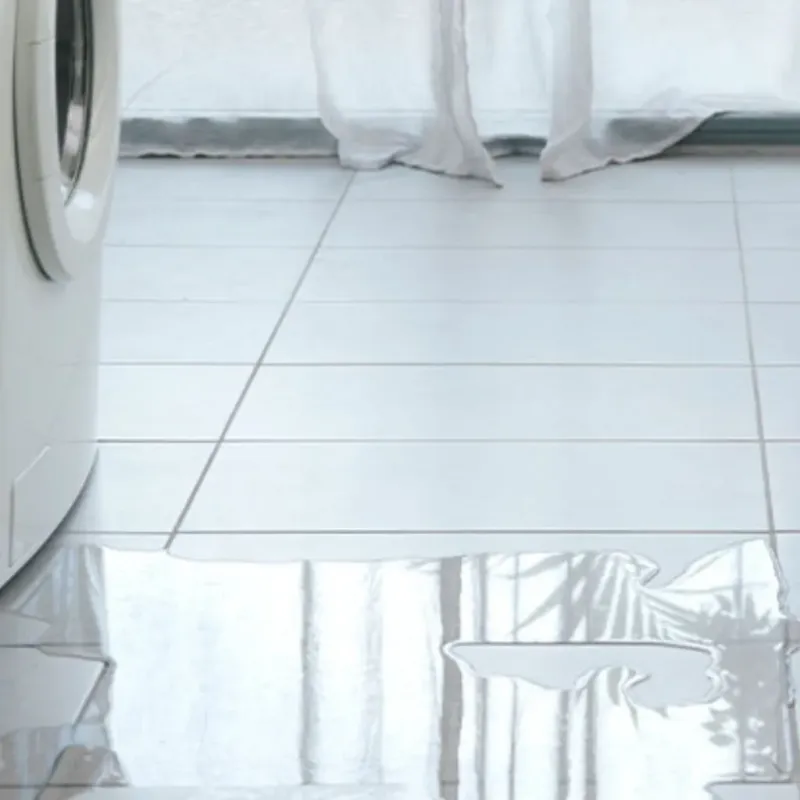 Appliance Leak Cleanup in Forsyth County, GA