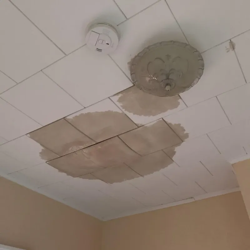 Ceiling Water Damage Repair in Forsyth County, GA