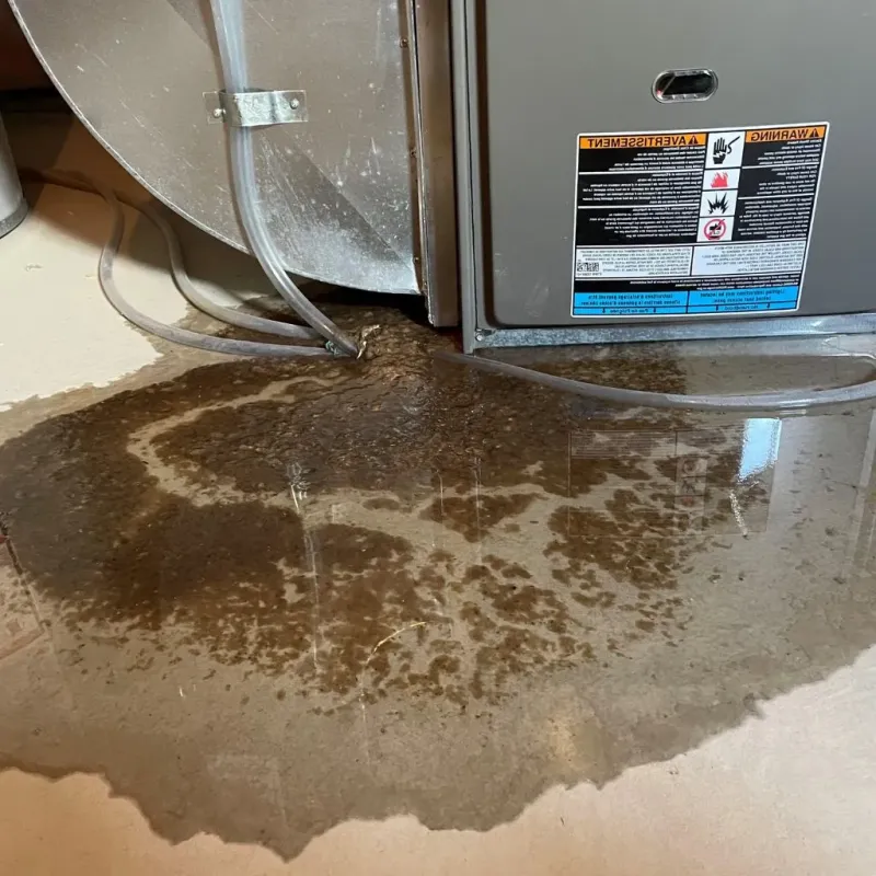 Pipe Burst and Leak Restoration in Forsyth County, GA