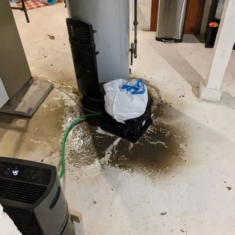 Sewage Backup Cleanup Service in Forsyth County, GA